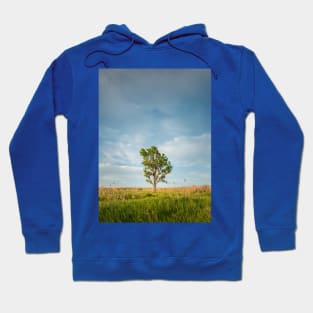 solitary tree in the meadow Hoodie